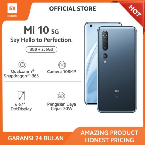 Xiaomi Mi 10 (Twilight Grey, 256 GB)