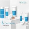 ORIGINAL Wardah Acnederm Acne Cleanser / Face Wash / Pore Refining Toner / Balm / Treatment Gel