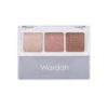 Wardah EyeXpert Eyeshadow Classic 3.3 gr