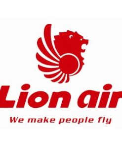 Tiket Pesawat Lion Air Jakarta - Padang 8 Juni 2018, Padang - Jakarta 25 Juni 2018 PP