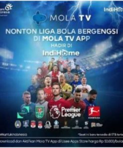 Paket Premium Mola TV 90 hari