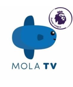 Mola tv bulanan