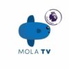 Voucher Paket Mola TV Streaming Via HP / LAPTOP / KOMPUTER