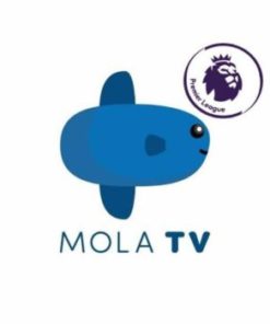 Voucher Paket Mola TV Streaming Via HP / LAPTOP / KOMPUTER