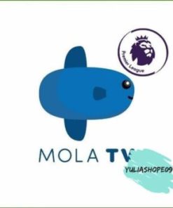Voucher Promo Akun Mola Tv 3 Bulan Liga Inggris Epl Bundesliga Euro Gs