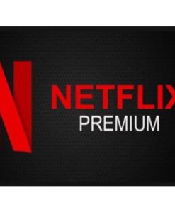 Netflix Premium 1 Bulan Anti Banned Bergaransi