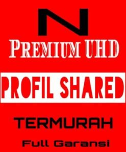 Netflix Premium 1 Bulan Profil Shared Termurah