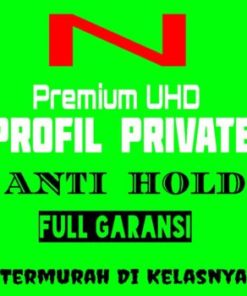 Netflix Premium Profil Private Full Garansi