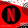 Netflix Premium 1 Bulan